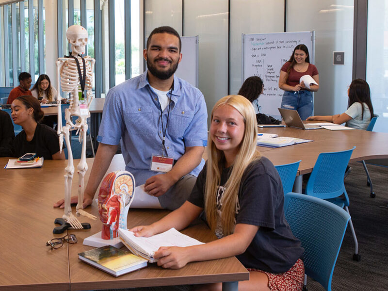 Support the Student Emergency Fund