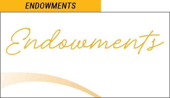 Endowments Logo