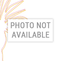 Photo Not Available